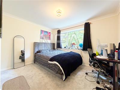 Picture 14
